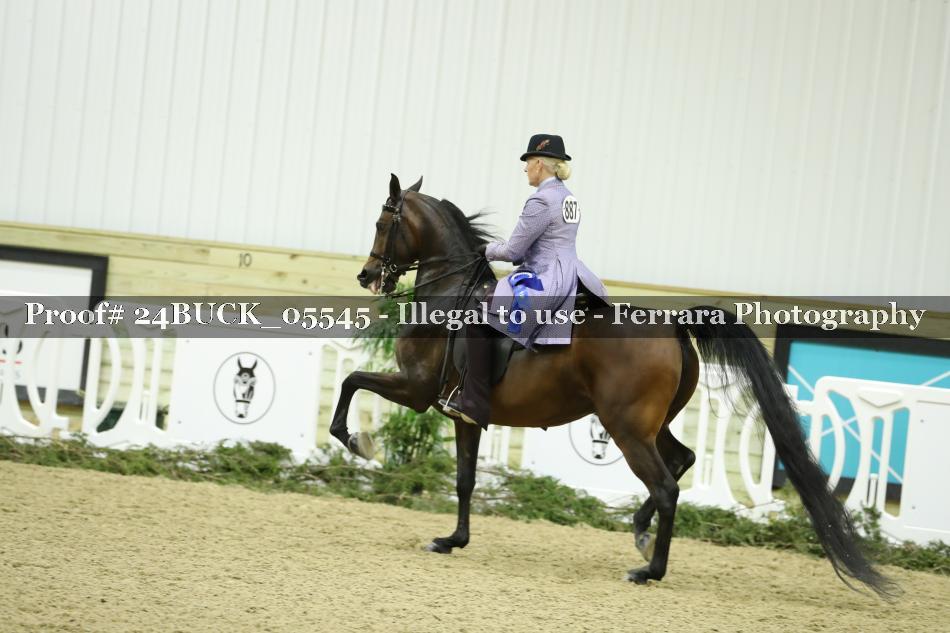 Proof 24BUCK_05545