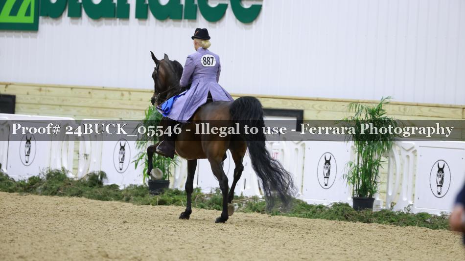 Proof 24BUCK_05546