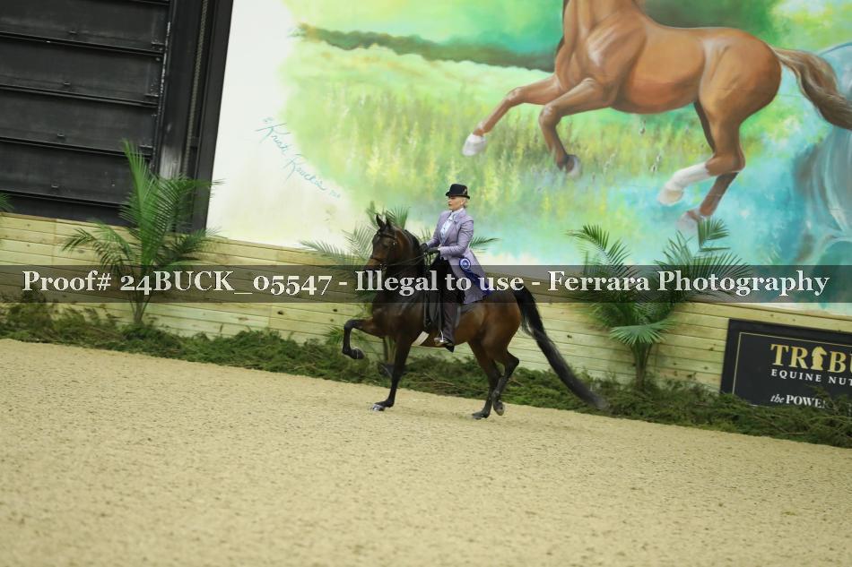 Proof 24BUCK_05547