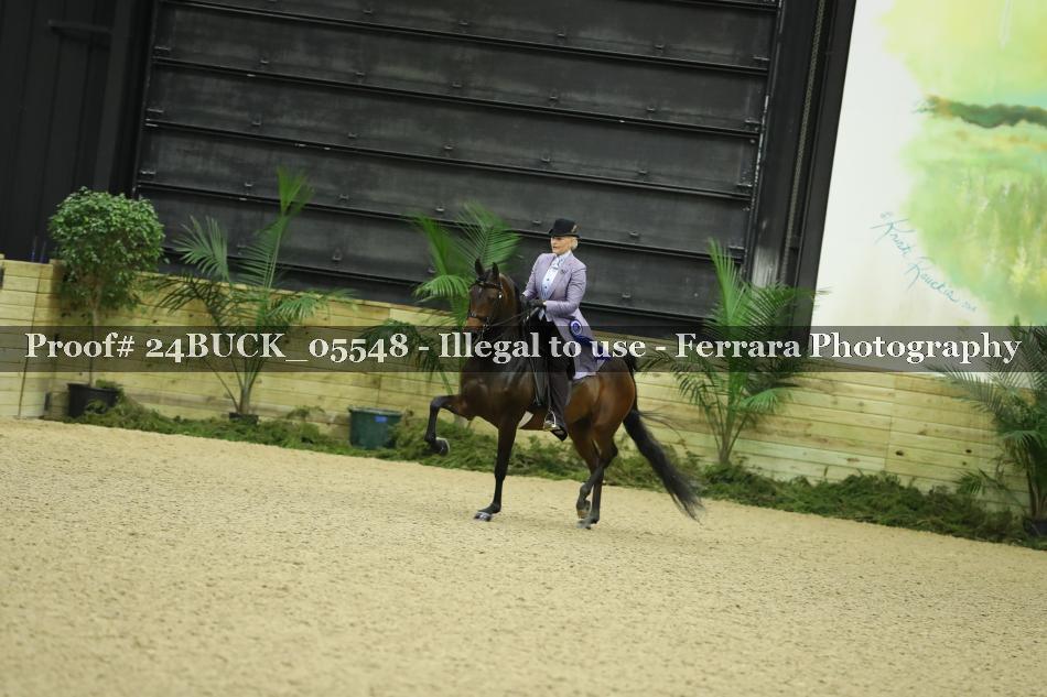 Proof 24BUCK_05548