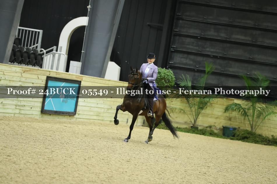 Proof 24BUCK_05549