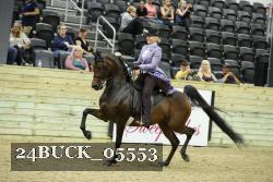 24BUCK_05553 proof