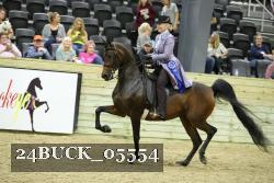 24BUCK_05554 proof