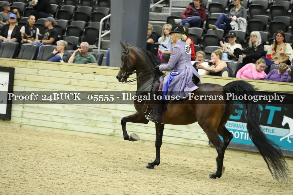 Proof 24BUCK_05555