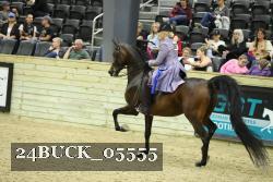 24BUCK_05555 proof