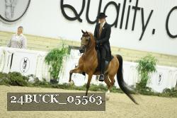 24BUCK_05563 proof