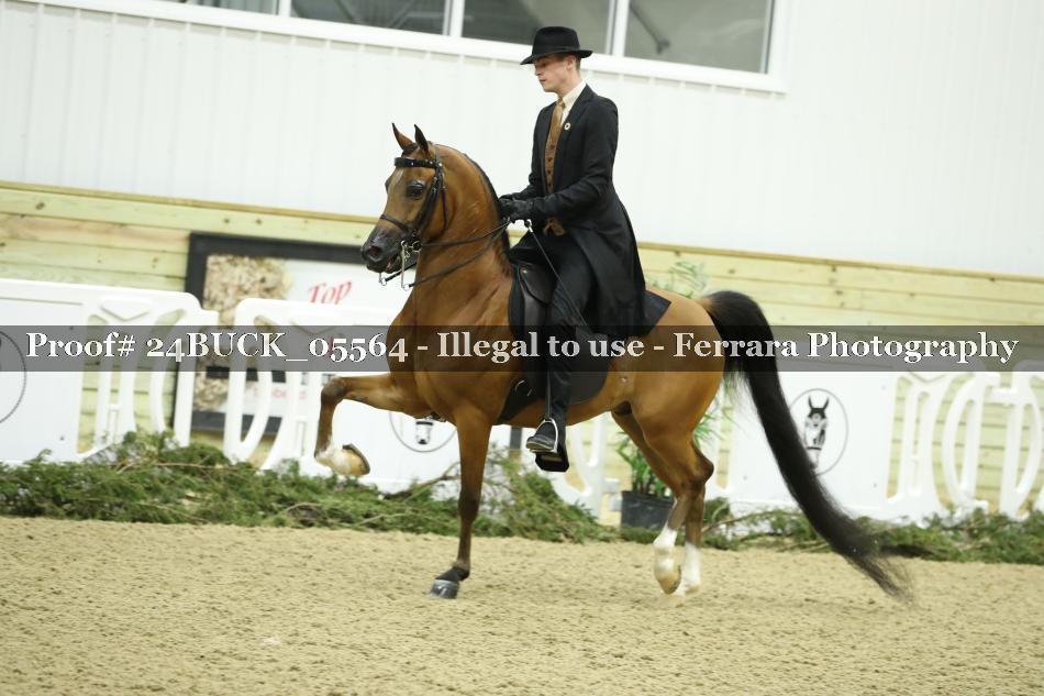 Proof 24BUCK_05564