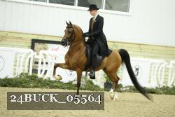 24BUCK_05564 proof