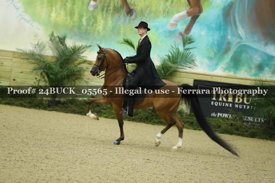 Proof 24BUCK_05565
