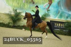 24BUCK_05565 proof