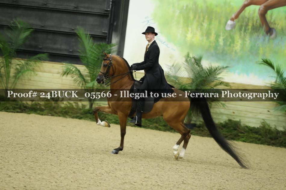 Proof 24BUCK_05566
