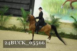 24BUCK_05566 proof