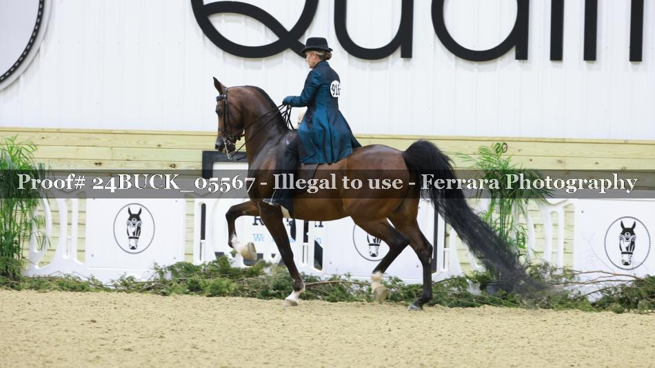 Proof 24BUCK_05567