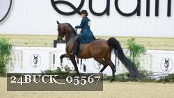 24BUCK_05567 proof