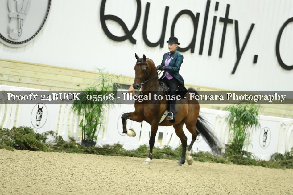 Proof 24BUCK_05568
