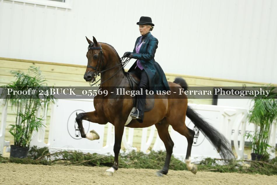 Proof 24BUCK_05569