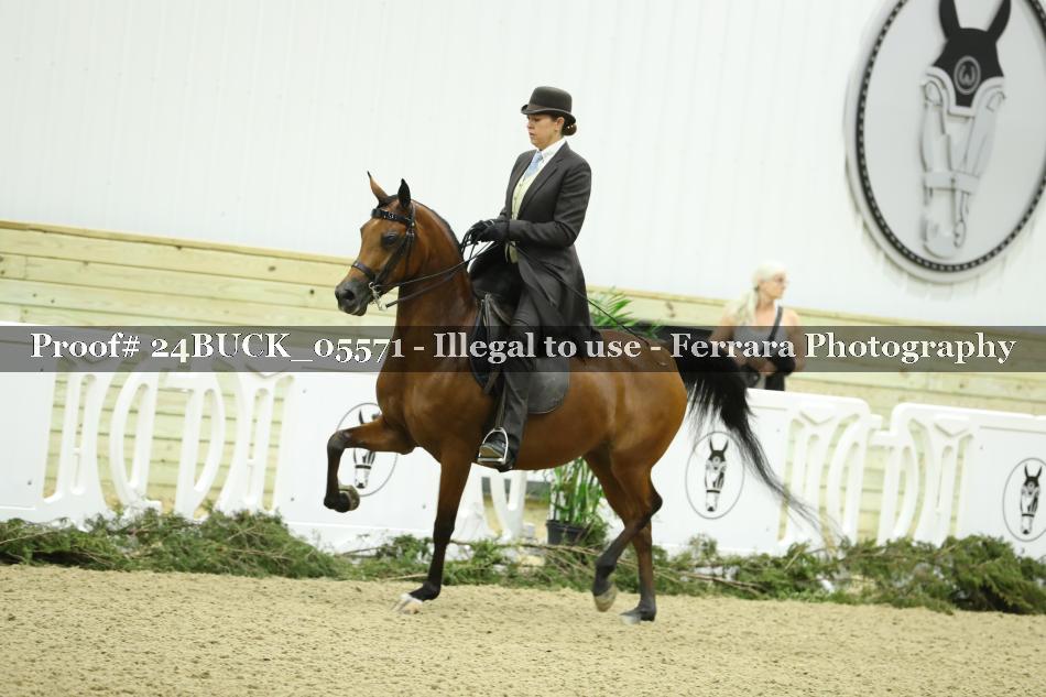 Proof 24BUCK_05571
