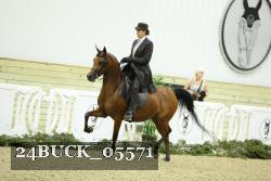 24BUCK_05571 proof