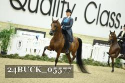 24BUCK_05577 proof
