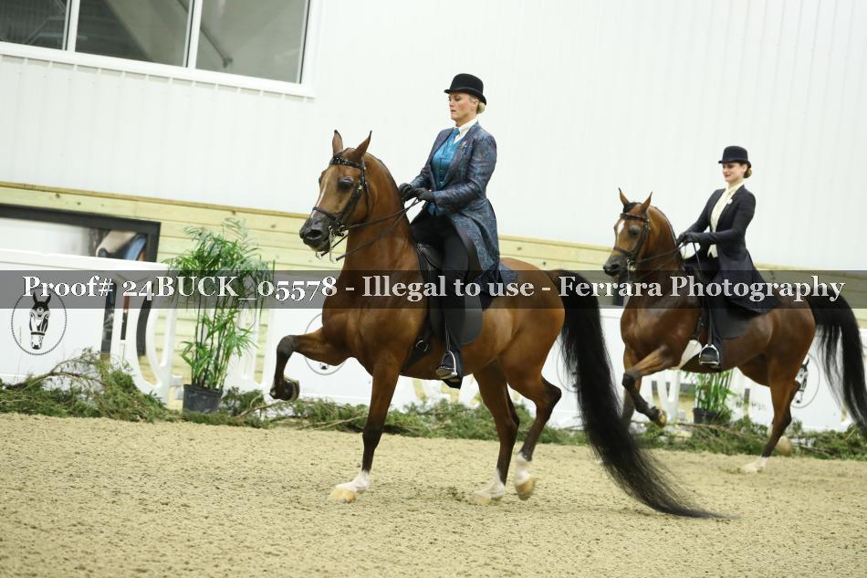Proof 24BUCK_05578