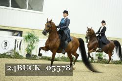 24BUCK_05578 proof