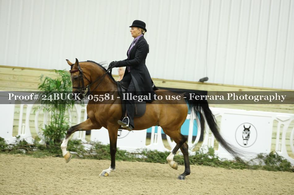Proof 24BUCK_05581