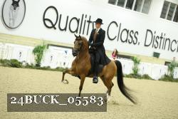 24BUCK_05583 proof