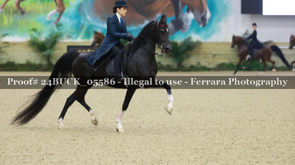 Proof 24BUCK_05586