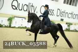 24BUCK_05588 proof