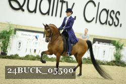 24BUCK_05590 proof