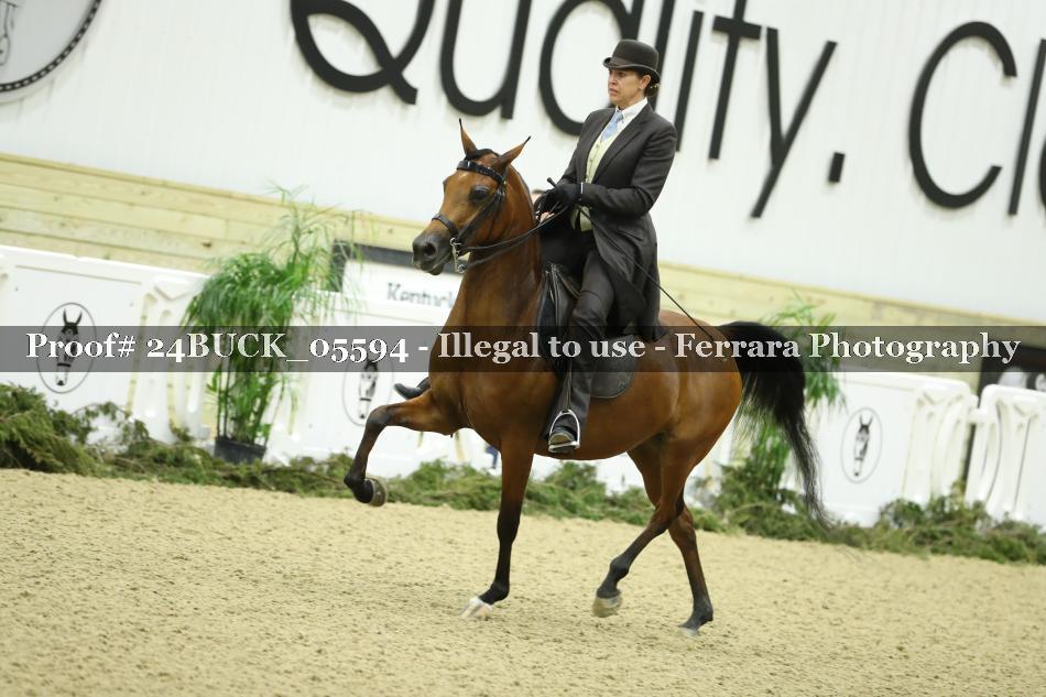 Proof 24BUCK_05594