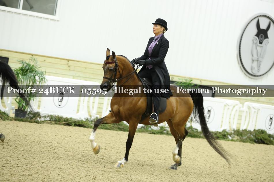 Proof 24BUCK_05595
