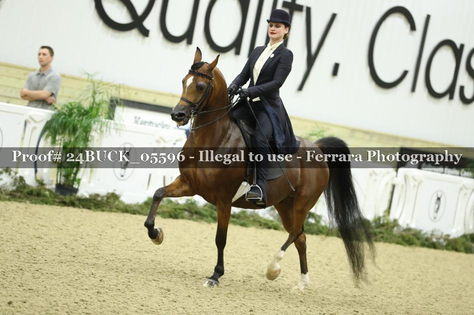 Proof 24BUCK_05596