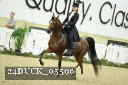 24BUCK_05596 proof