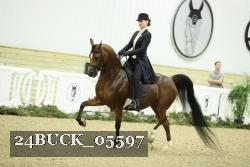 24BUCK_05597 proof