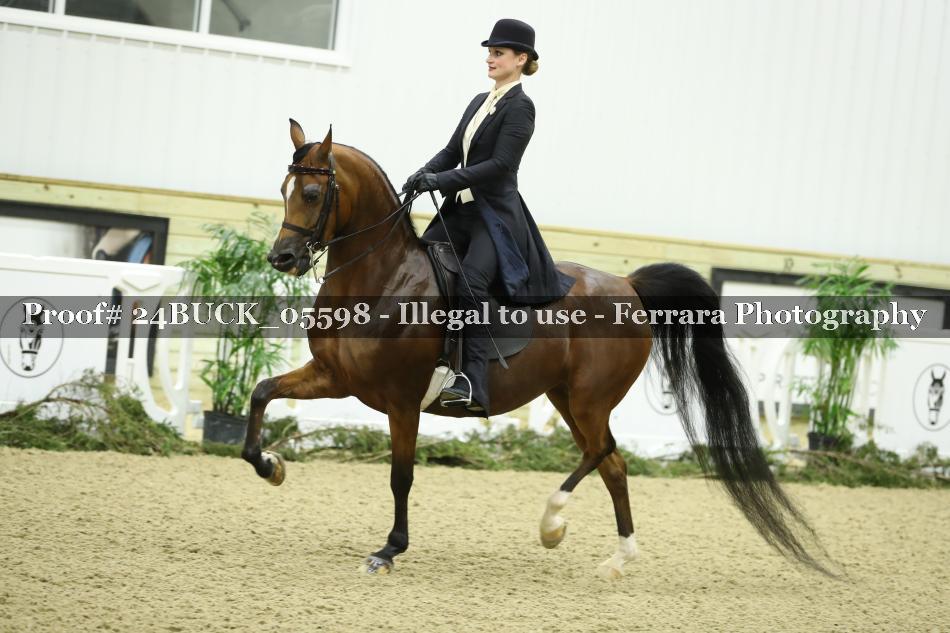 Proof 24BUCK_05598