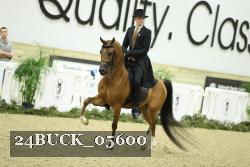 24BUCK_05600 proof