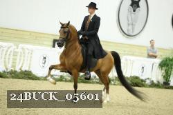 24BUCK_05601 proof