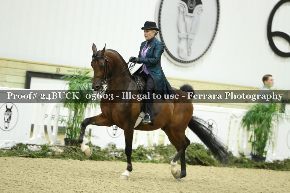 Proof 24BUCK_05603
