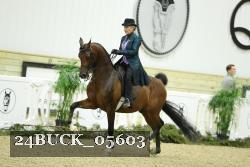 24BUCK_05603 proof