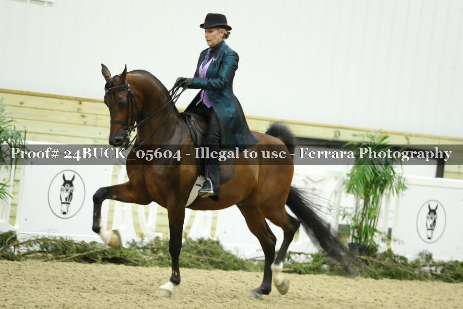 Proof 24BUCK_05604
