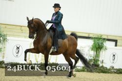 24BUCK_05604 proof