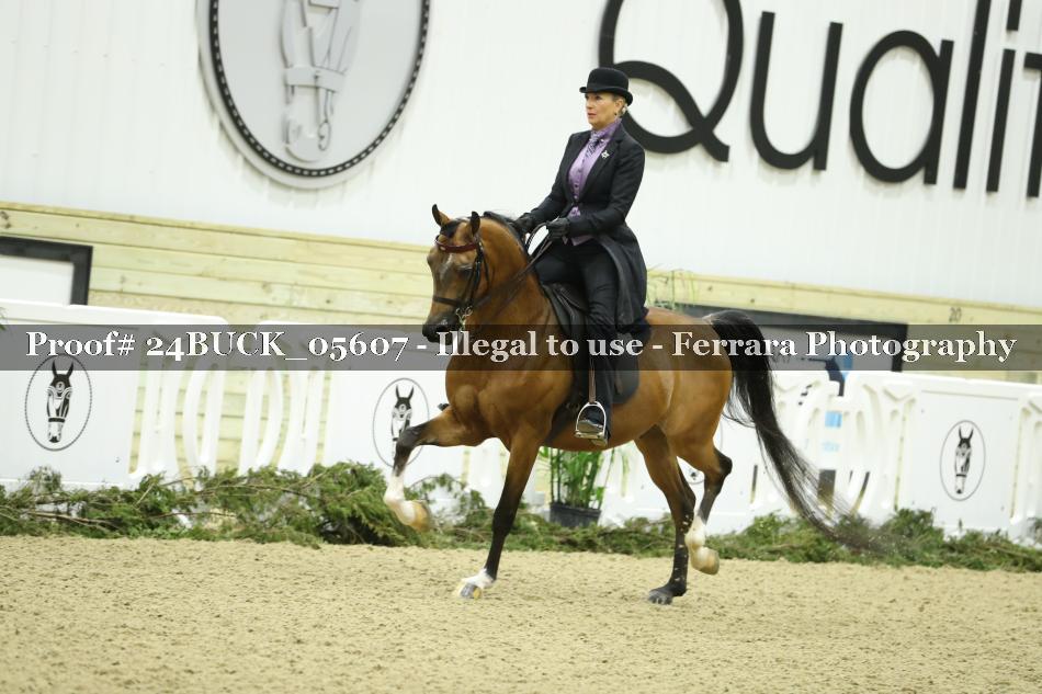 Proof 24BUCK_05607