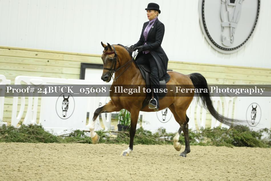 Proof 24BUCK_05608