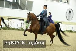 24BUCK_05609 proof