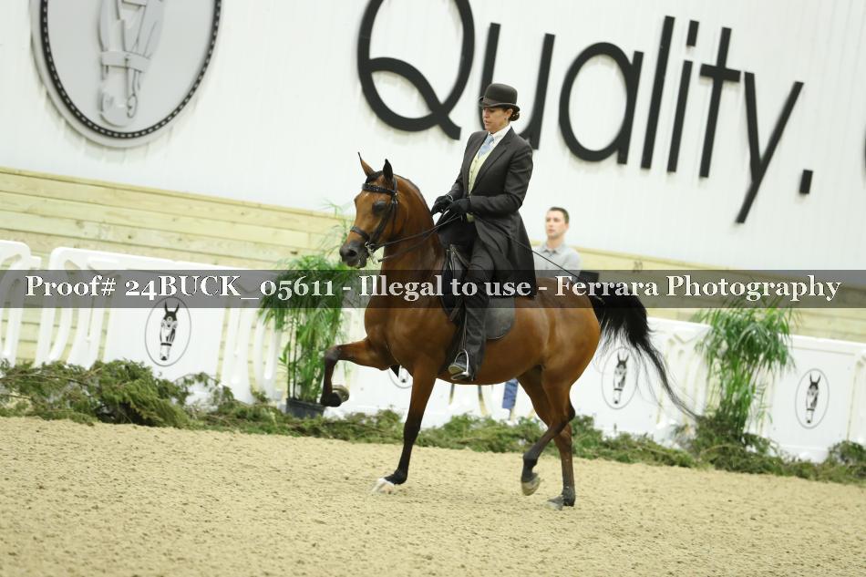 Proof 24BUCK_05611