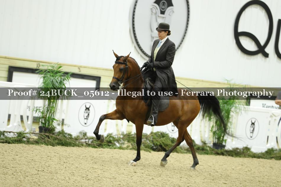 Proof 24BUCK_05612
