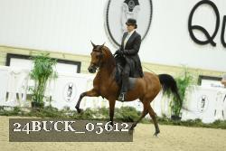 24BUCK_05612 proof