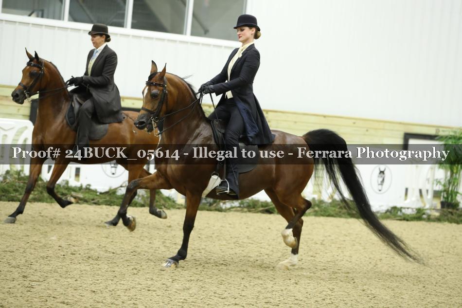 Proof 24BUCK_05614