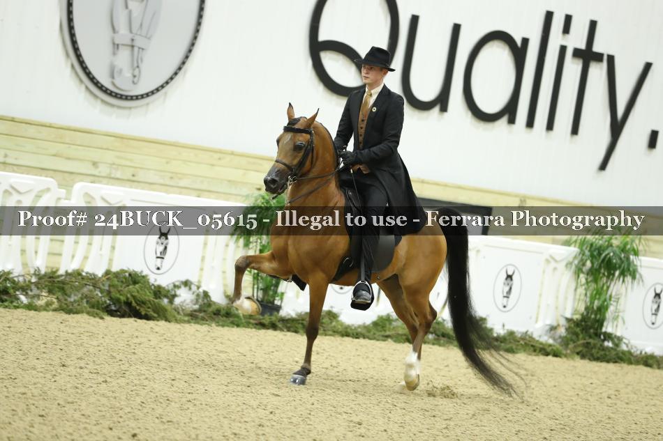 Proof 24BUCK_05615